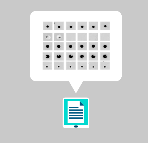 AiDC Defect Detection System